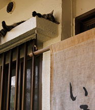 のれんの上からお出迎え。